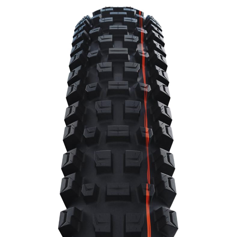 Amazon.com : SCHWALBE Albert Trail Pro Mountain Tire, 29